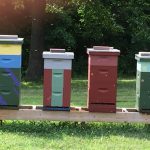 Honey Bee Hives